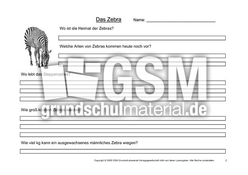 Zebra-Fragen-2.pdf